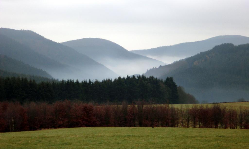 Landhaus Zur Linde Winterberg Quarto foto